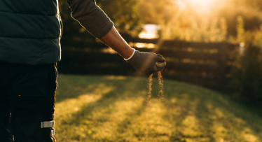 Ära jäta muru külma kätte ilma ettevalmistuseta