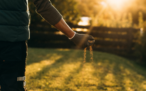 Ära jäta muru külma kätte ilma ettevalmistuseta