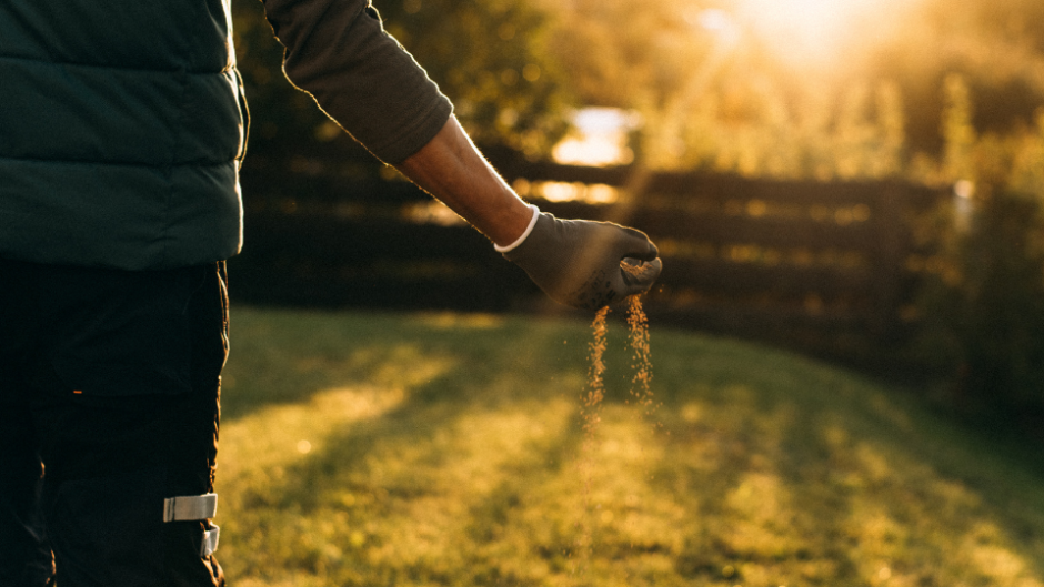 Ära jäta muru külma kätte ilma ettevalmistuseta Ära jäta muru külma kätte ilma ettevalmistuseta