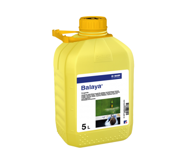 Balaya