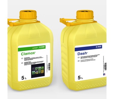 Clamox+Dash