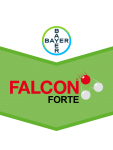 Falcon Forte