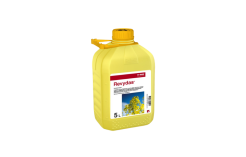 Revydas