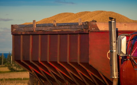 Grūdų rinkos apžvalga, 24 savaitė (2024)