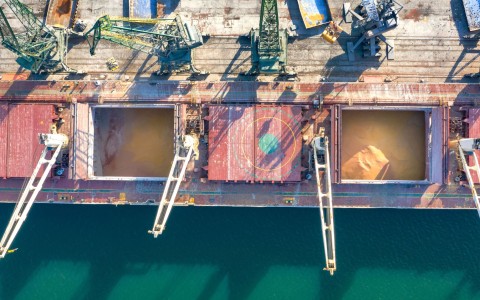 Grūdų rinkos apžvalga, 25 savaitė (2024)