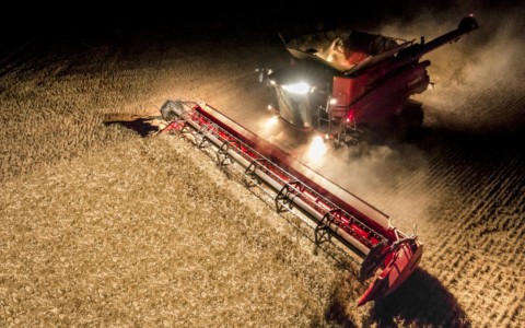 Grūdų rinkos apžvalga, 28 savaitė (2024)