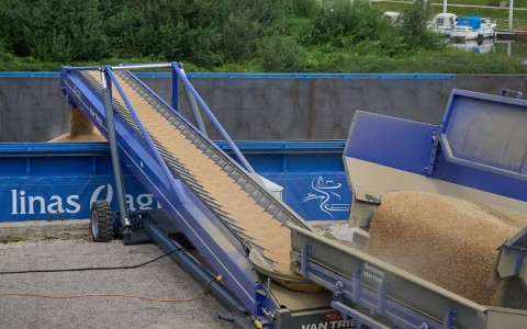 Grūdų rinkos apžvalga, 32 savaitė (2024)