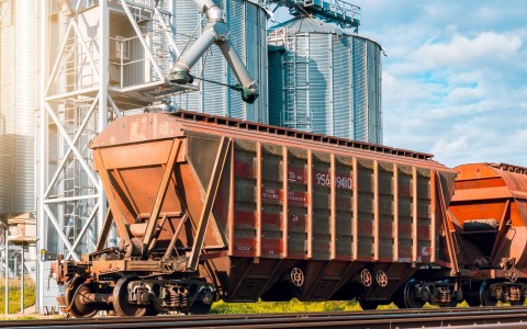 Grūdų rinkos apžvalga, 33 savaitė (2024)