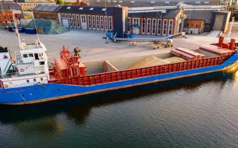 Grūdų rinkos apžvalga, 35 savaitė (2024)