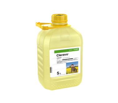 Cleravo + Dash 