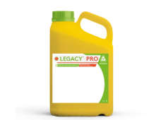 Legacy Pro