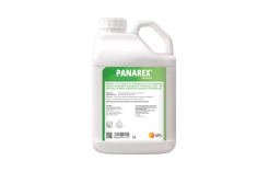 Panarex®