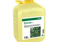 Stomp CS
