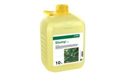 Stomp CS