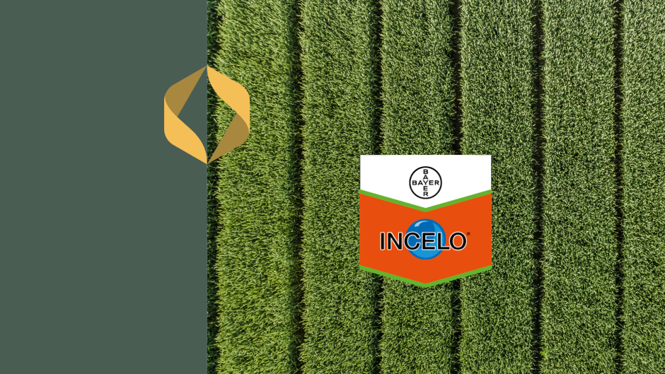 INCELO® – tõhus lahendus kõrreliste umbrohtude tõrjeks taliteraviljades