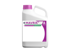 Mavrik