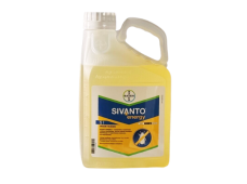 Sivanto Energy - PTA eriluba!