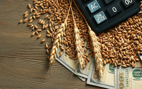 J. Eimontas. Pasaulinę grūdų rinką siūbuoja kariniai konfliktai