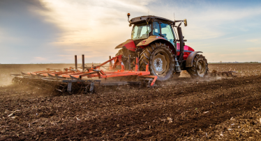 Kevadine turgutusring taliteraviljadel ja talirapsil