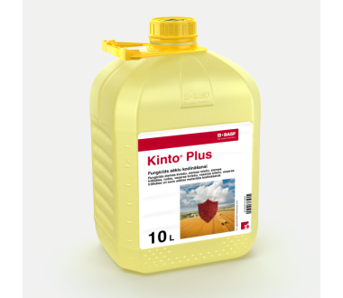 Kinto Plus