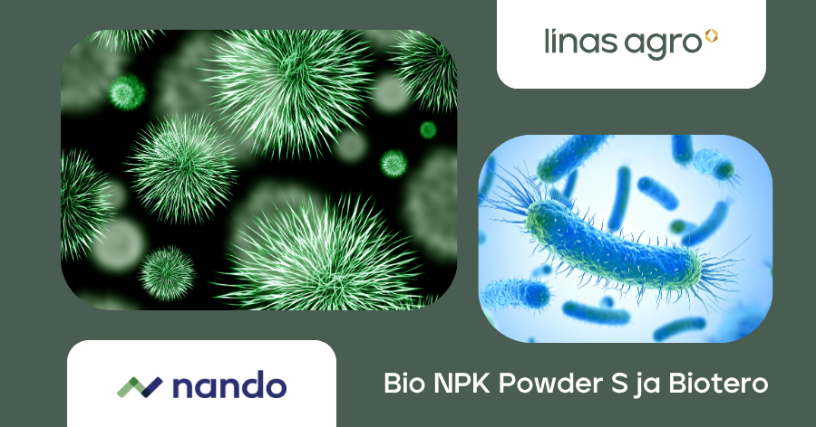 Kuidas Bio NPK Powder S ja Biotero toetavad mulla ja taime koostööd