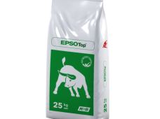 EPSO Top