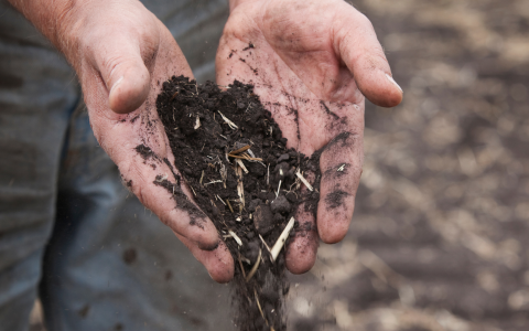 Mis on mahetootmine ja miks see on põllumajanduses oluline?