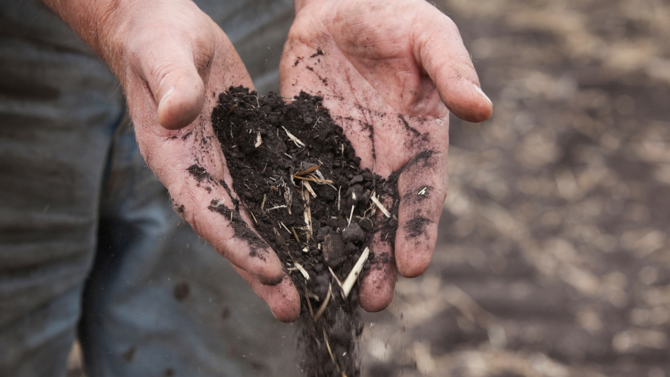 Mis on mahetootmine ja miks see on põllumajanduses oluline?
