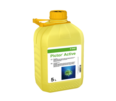 Pictor active