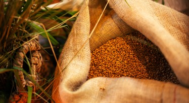 Põllukatsed näitavad: väiksemad sisendid, sama saagikus