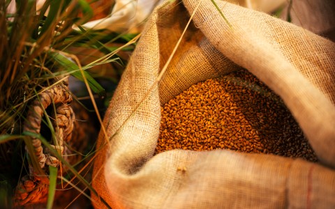 Põllukatsed näitavad: väiksemad sisendid, sama saagikus