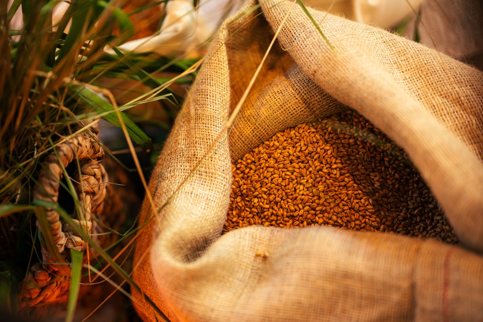 Põllukatsed näitavad: väiksemad sisendid, sama saagikus Põllukatsed näitavad: väiksemad sisendid, sama saagikus