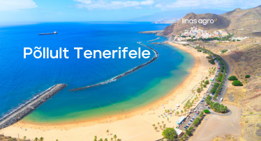 Põllult Tenerifele