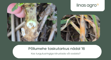 Põllumehe taskutarkus nädal 16 – kas turgutusringiga kiirustada või oodata?