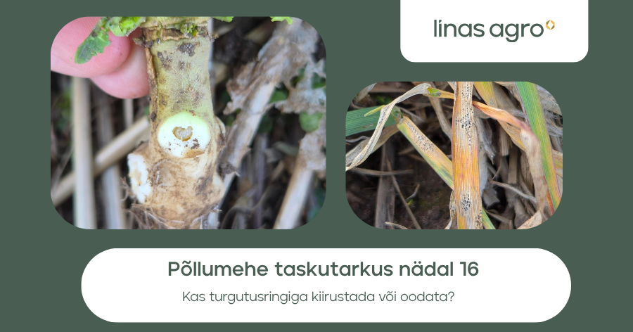 Põllumehe taskutarkus nädal 16 – kas turgutusringiga kiirustada või oodata?