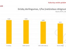 KWS Colonnada