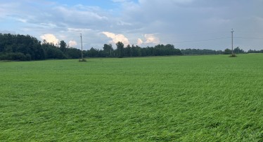 Rohumaade rajamine – uue põllu sünd!