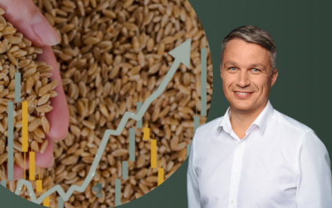 Siekiantiems didžiausio uždarbio grūdų kainas verta fiksuoti dažniau