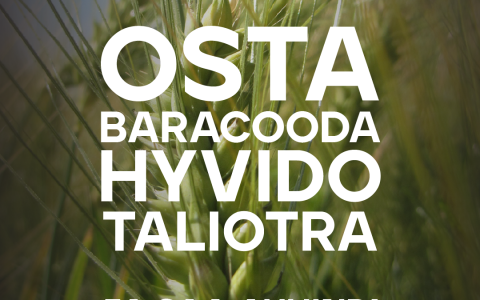 Talioder SY Baracooda kampaania 