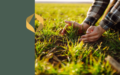 Valmistume  kevadeks –  Linas Agro taimekasvatusseminarid 2026