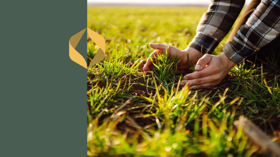 Valmistume  kevadeks –  Linas Agro taimekasvatusseminarid 2026