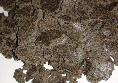 Rapsų išspaudos - pašarinė žaliava